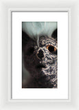 9 Lives - Framed Print