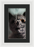 9 Lives - Framed Print