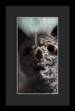 9 Lives - Framed Print
