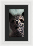 9 Lives - Framed Print