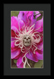 Spell Locked - Framed Print