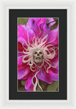 Spell Locked - Framed Print