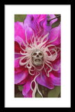 Spell Locked - Framed Print