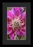 Spell Locked - Framed Print