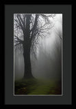 Wonder Fog - Framed Print