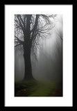 Wonder Fog - Framed Print