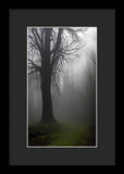 Wonder Fog - Framed Print