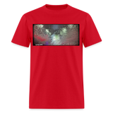 Bird Signal - red