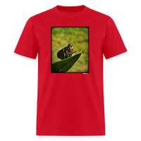 Mothy - red