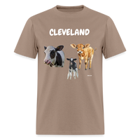 CAVS - brown savana