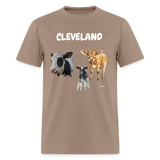 CAVS - brown savana