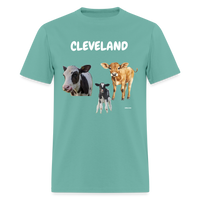 CAVS - aquatic