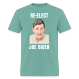 RE-ELECT JOE - aquatic