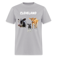 CAVS - gravel 