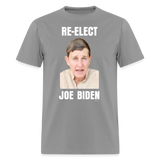 RE-ELECT JOE - rock