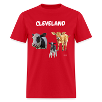 CAVS - red