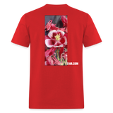 Flowering - red