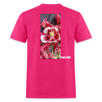 Flowering - fuchsia
