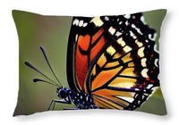 Natures Beauty - Throw Pillow