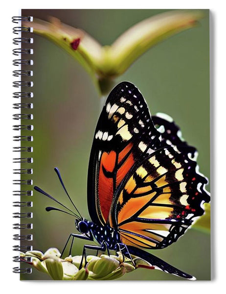 Natures Beauty - Spiral Notebook