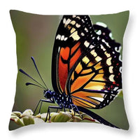 Natures Beauty - Throw Pillow