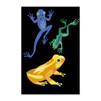 FROG - G Poster 24x36 - white