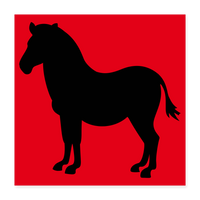PONY Poster 16x16 - white